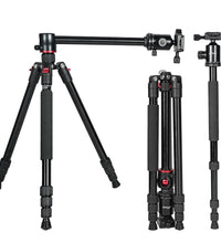 HIFFIN HF-550 Tripod, 1.651M (65") Special Quality Camera Tripod for Canon Nikon DSLR, Aluminum Alloy Tripod with 360 Degree Ball Head, Professional Tripod for Travel and Work