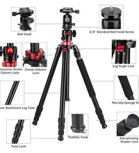 HIFFIN HF-550 Tripod, 1.651M (65") Special Quality Camera Tripod for Canon Nikon DSLR, Aluminum Alloy Tripod with 360 Degree Ball Head, Professional Tripod for Travel and Work